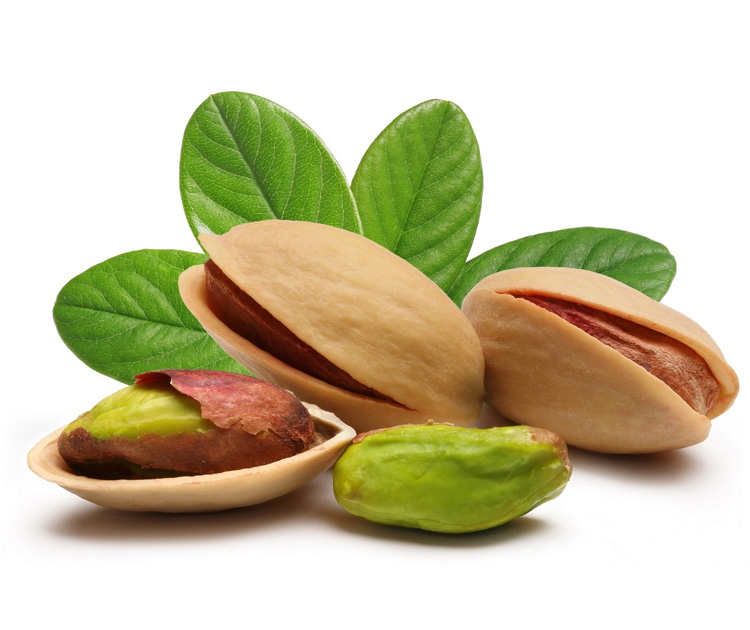 pistacchio